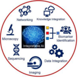 Stylized images of the application areas (networking, knowledge integration, biomarker idenification, data integration, imaging, sequencing, microscopy) arranged in a circle around Interpretable AI